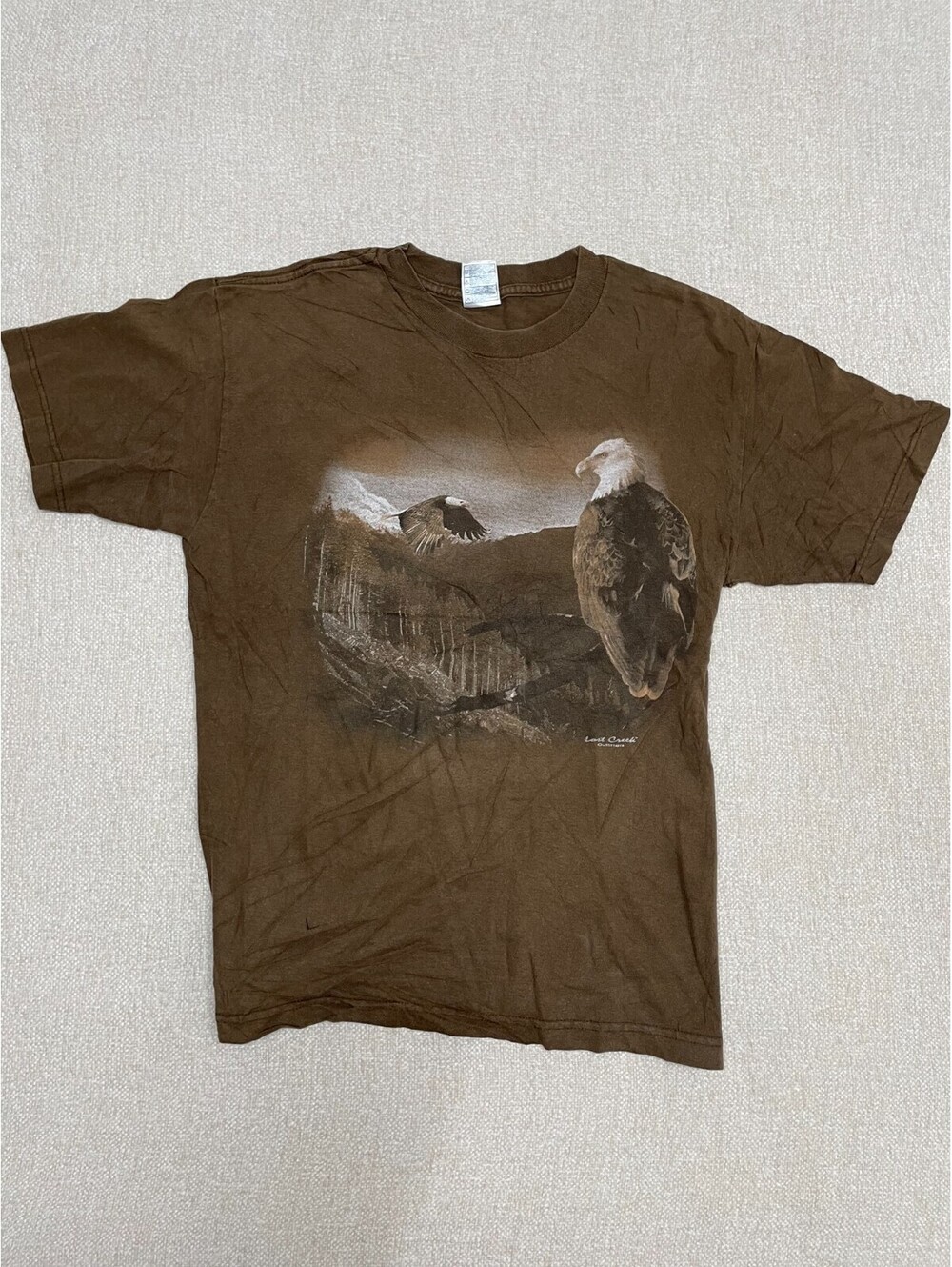 Vintage Alstyle Mens Medium Brown Bald Eagle Graphic T-Shirt Lost Creek Outfitte